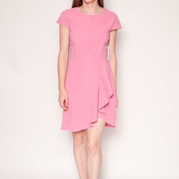 AMANDA UPRICHARD NWT Pink Whistler Ruffle Dress  Size Small - Picture 1 of 11